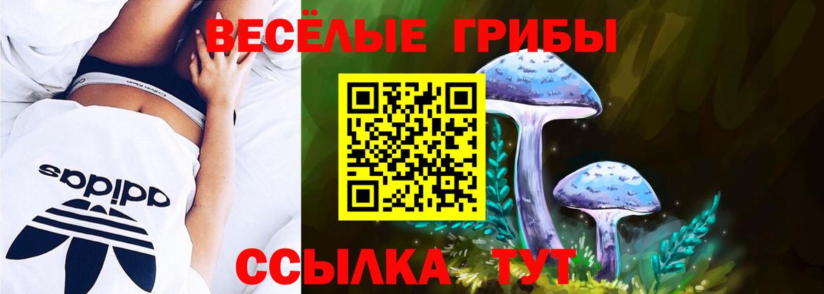 Галлюциногенные грибы GOLDEN TEACHER Армавир