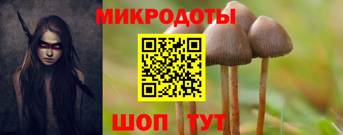 Армавир  Галлюциногенные грибы Cubensis  Вход с VPN 